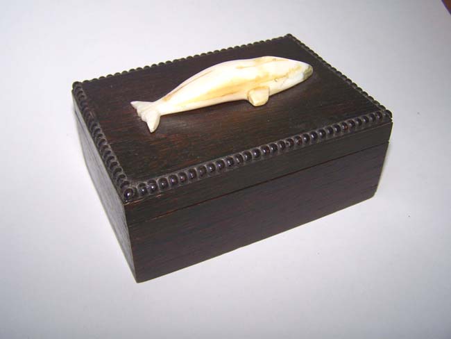 A late 19th century ANTIQUE Box with beaded edge and having a walrus ivory gray whale on the lid